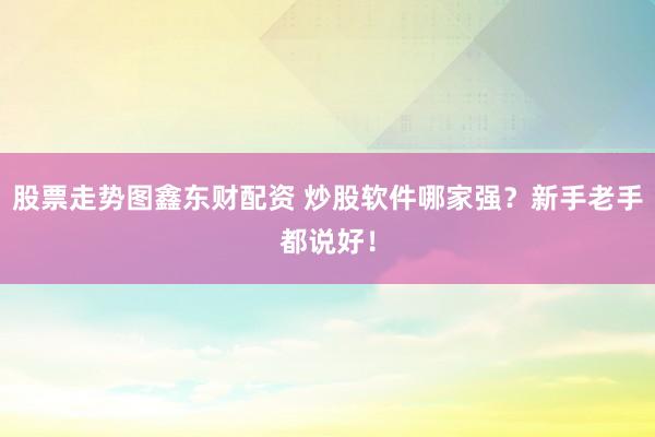 股票走势图鑫东财配资 炒股软件哪家强？新手老手都说好！