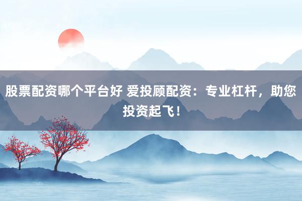 股票配资哪个平台好 爱投顾配资：专业杠杆，助您投资起飞！