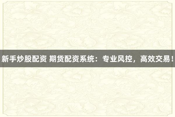 新手炒股配资 期货配资系统：专业风控，高效交易！