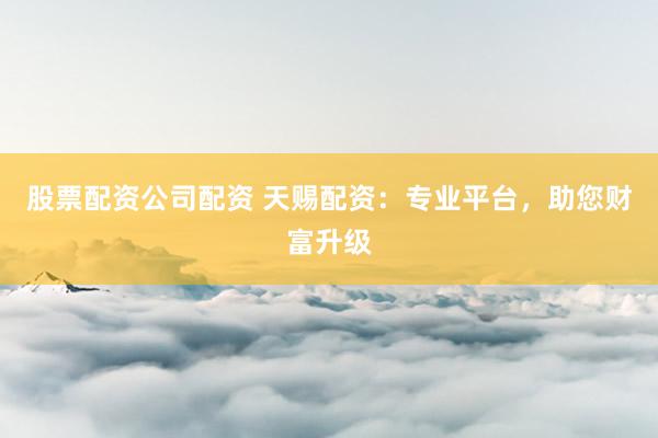 股票配资公司配资 天赐配资：专业平台，助您财富升级