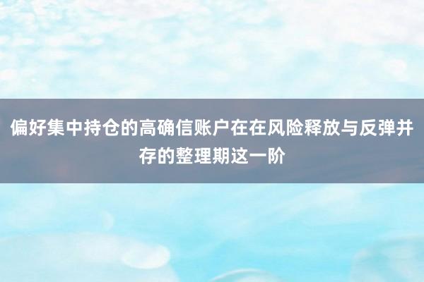 偏好集中持仓的高确信账户在在风险释放与反弹并存的整理期这一阶