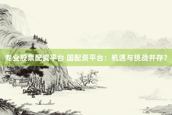 专业股票配资平台 国配资平台：机遇与挑战并存？