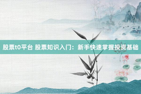 股票t0平台 股票知识入门：新手快速掌握投资基础